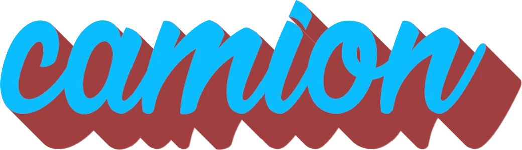 Camion  Transporte de Veículos na cegonha em todo Brasil com Segurança