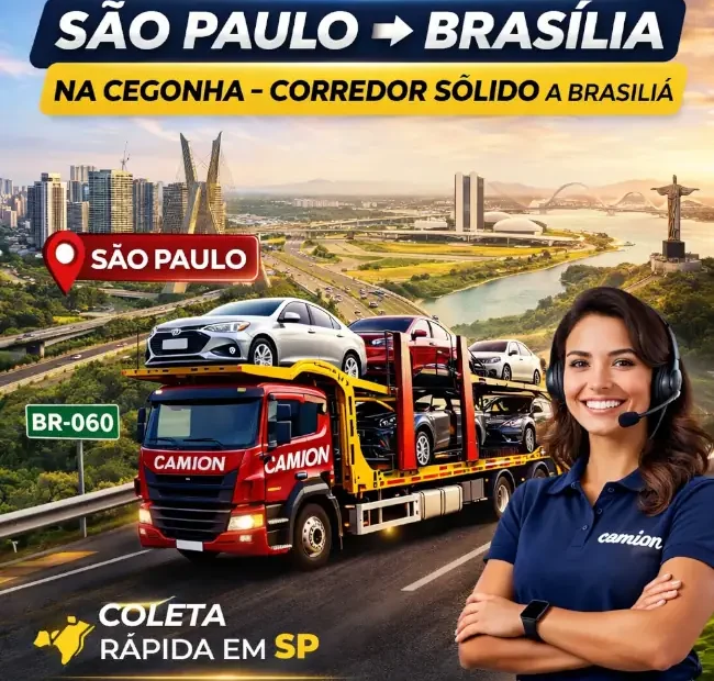 Transporte de Veículo na Cegonha de São Paulo para Brasília 1 Transporte de Veiculo na Cegonha de Sao Paulo para Brasilia