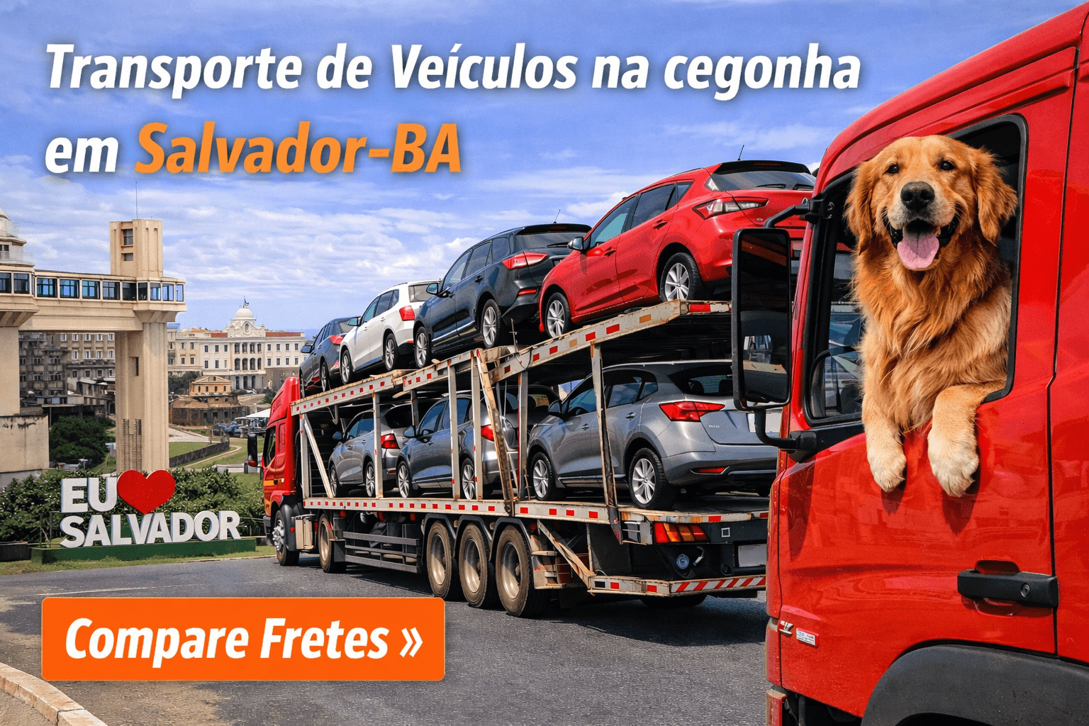 Transporte de Veículos na cegonha em Salvador-BA