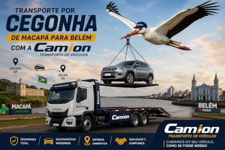 Transporte por cegonha de Macapá para Belém